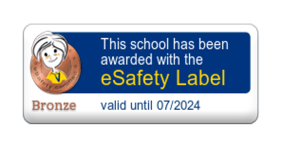 eSafety Label Bronze Etiket